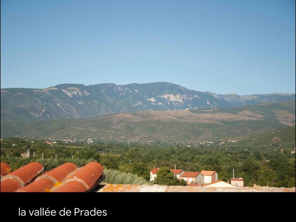 La Maison Du Bonheur Marquixanes Dış mekan fotoğraf
