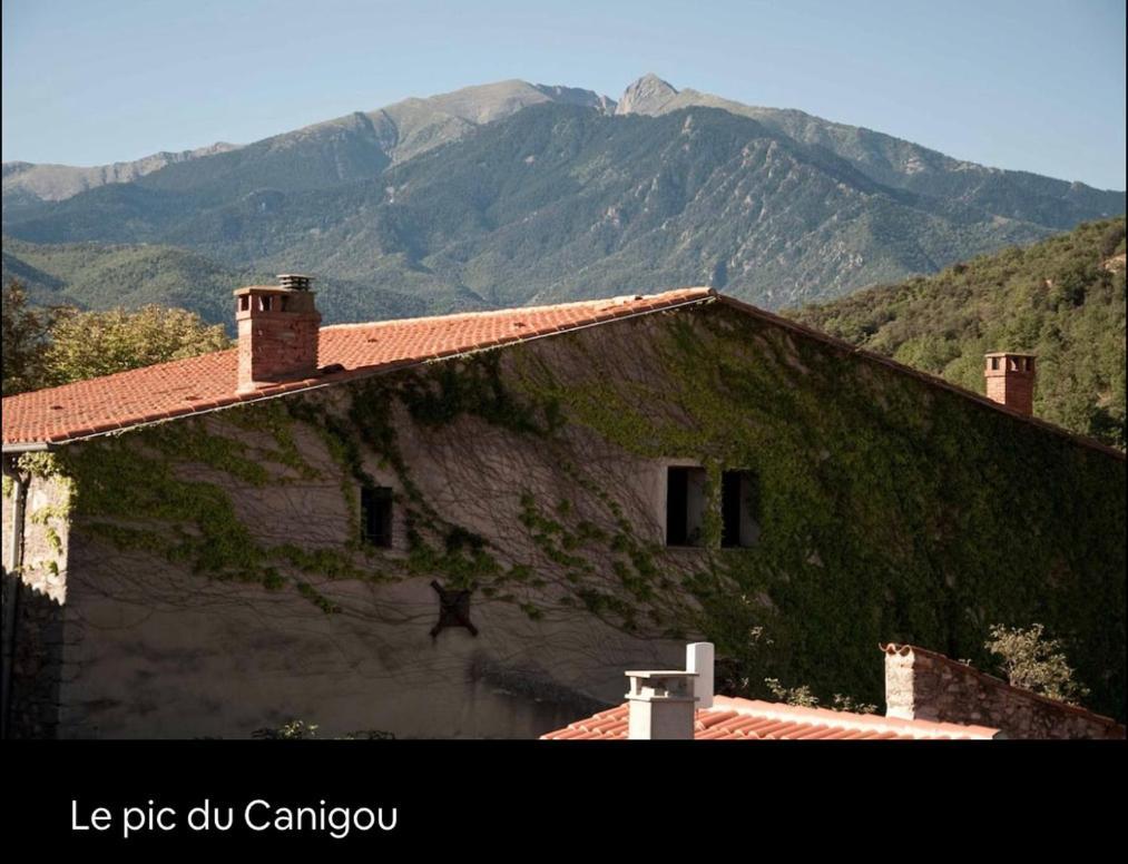 La Maison Du Bonheur Marquixanes Dış mekan fotoğraf